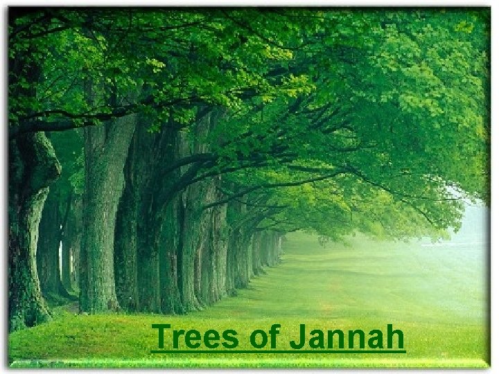 Trees of Jannah 