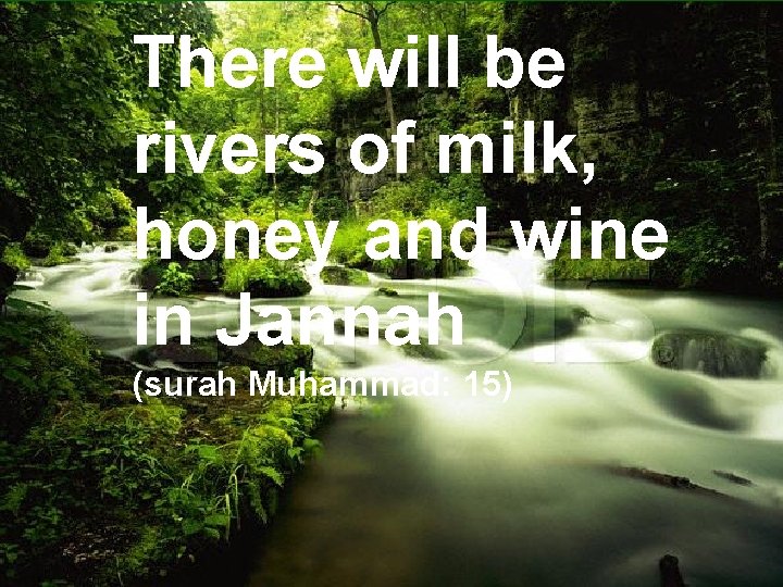 There will be rivers of milk, honey and wine in Jannah (surah Muhammad: 15)