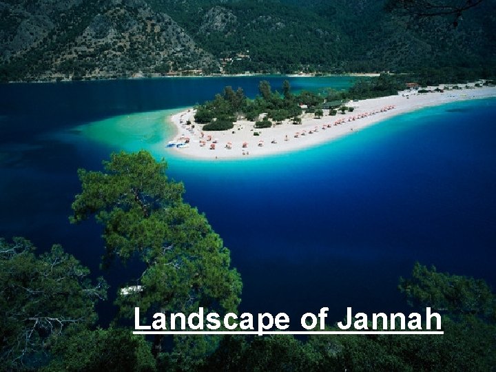 Landscape of Jannah 