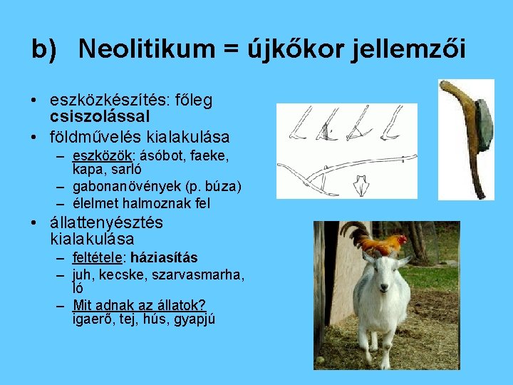 b) Neolitikum = újkőkor jellemzői • eszközkészítés: főleg csiszolással • földművelés kialakulása – eszközök: