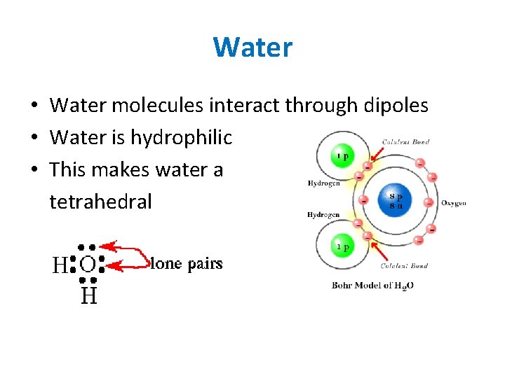 Water • Water molecules interact through dipoles • Water is hydrophilic • This makes
