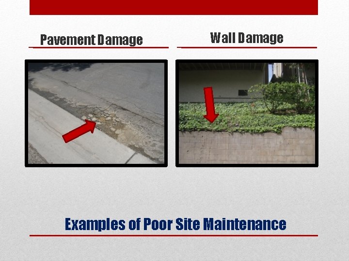 Pavement Damage Wall Damage Examples of Poor Site Maintenance 