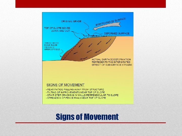 Signs of Movement 