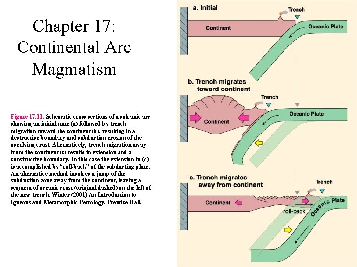 Chapter 17: Continental Arc Magmatism Figure 17. 11. Schematic cross sections of a volcanic