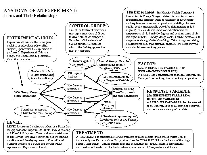 ANATOMY OF AN EXPERIMENT: The Experiment: The Munchy Cookie Company is Terms and Their