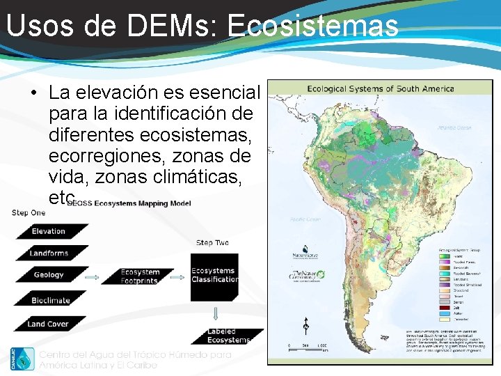 Usos de DEMs: Ecosistemas • La elevación es esencial para la identificación de diferentes