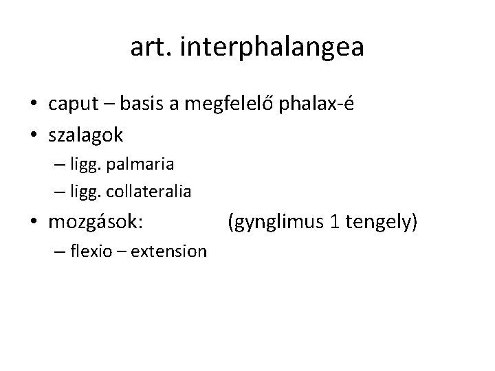 art. interphalangea • caput – basis a megfelelő phalax-é • szalagok – ligg. palmaria