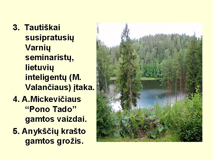 3. Tautiškai susipratusių Varnių seminaristų, lietuvių inteligentų (M. Valančiaus) įtaka. 4. A. Mickevičiaus “Pono