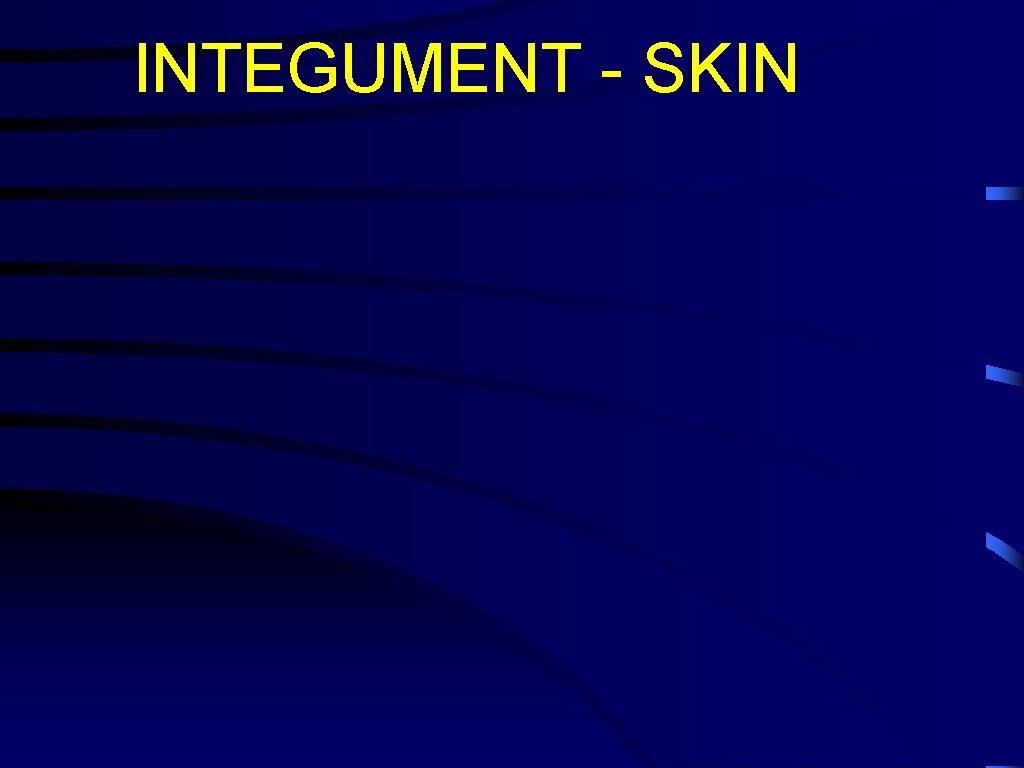 INTEGUMENT - SKIN 