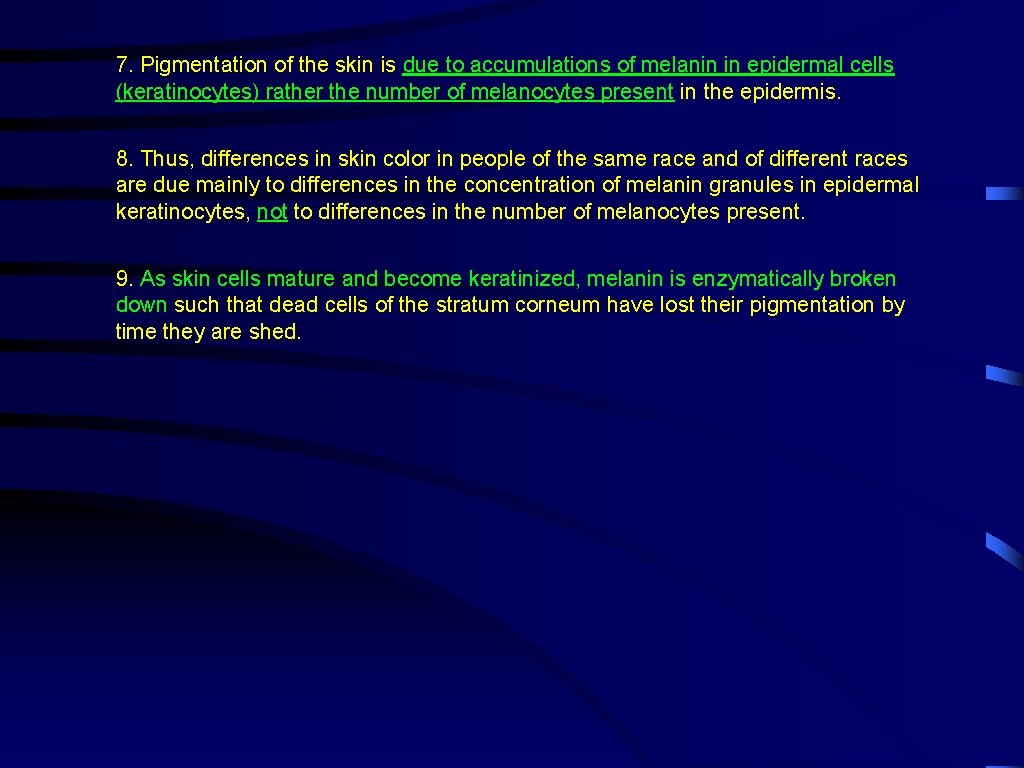 7. Pigmentation of the skin is due to accumulations of melanin in epidermal cells