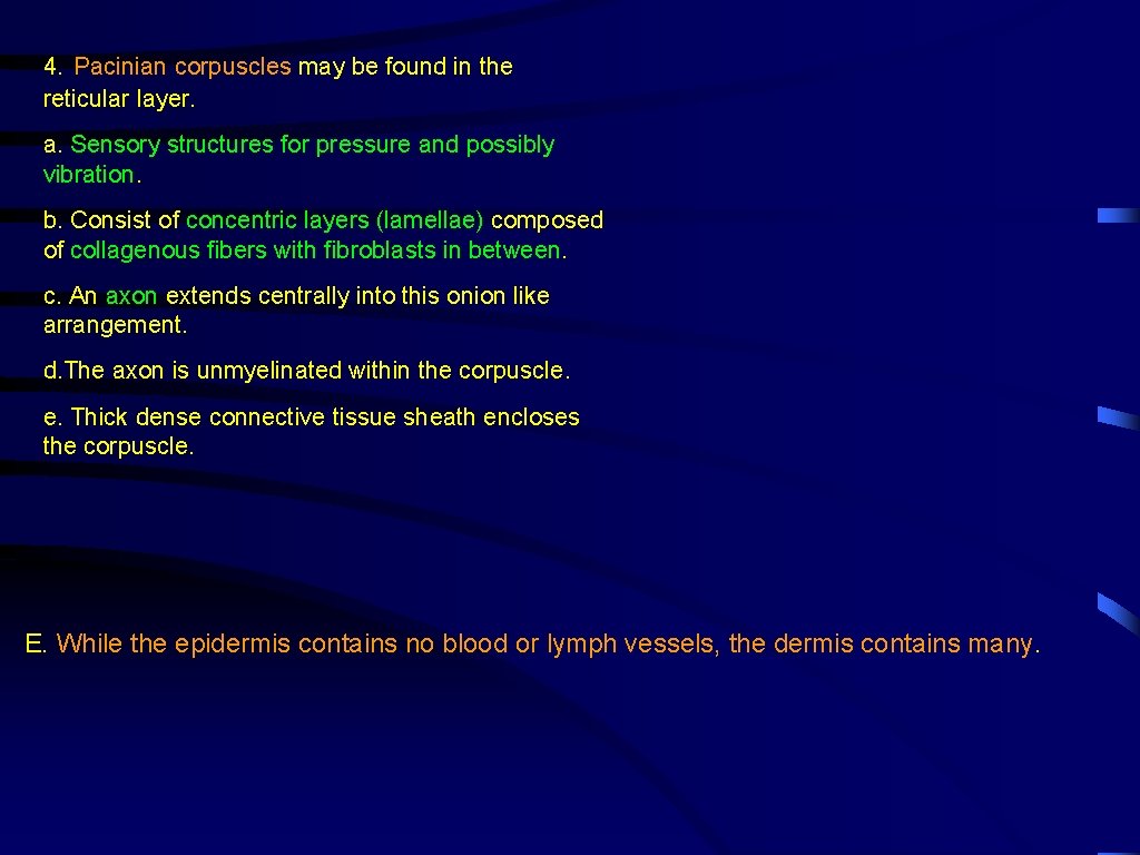 4. Pacinian corpuscles may be found in the reticular layer. a. Sensory structures for