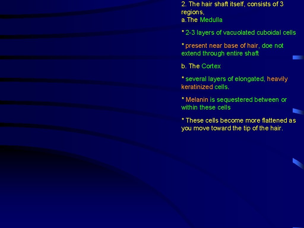 2. The hair shaft itself, consists of 3 regions, a. The Medulla * 2