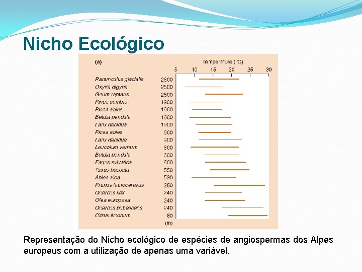 Nicho Ecológico Representação do Nicho ecológico de espécies de angiospermas dos Alpes europeus com Nicho Ecológico Representação do Nicho ecológico de espécies de angiospermas dos Alpes europeus com