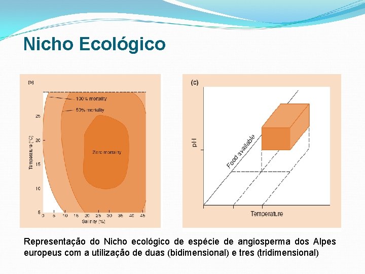 Nicho Ecológico Representação do Nicho ecológico de espécie de angiosperma dos Alpes europeus com Nicho Ecológico Representação do Nicho ecológico de espécie de angiosperma dos Alpes europeus com
