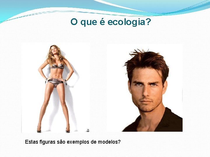 O que é ecologia? Estas figuras são exemplos de modelos? O que é ecologia? Estas figuras são exemplos de modelos?