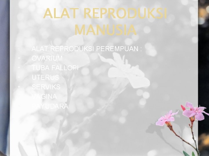 1. ALAT REPRODUKSI PEREMPUAN : OVARIUM TUBA FALLOPI UTERUS SERVIKS VAGINA PAYUDARA 