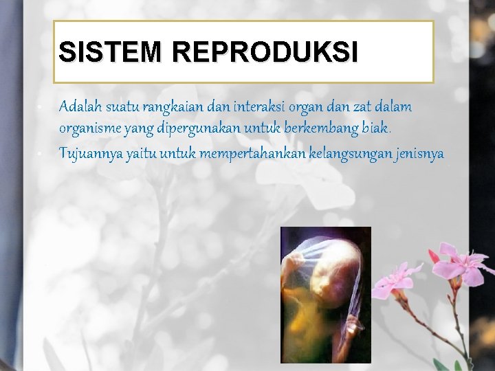 SISTEM REPRODUKSI • • Adalah suatu rangkaian dan interaksi organ dan zat dalam organisme