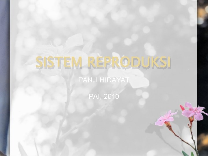 SISTEM REPRODUKSI PANJI HIDAYAT PAI, 2010 