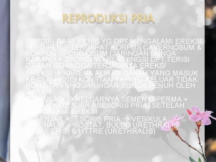 REPRODUKSI PRIA � � TERDIRI DARI: PENIS YG DPT MENGALAMI EREKSI PD PENIS TERDAPAT