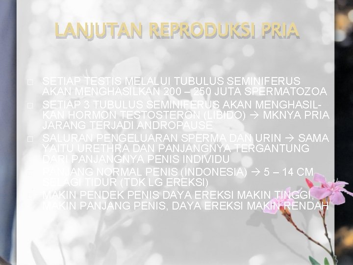 LANJUTAN REPRODUKSI PRIA � � � SETIAP TESTIS MELALUI TUBULUS SEMINIFERUS AKAN MENGHASILKAN 200