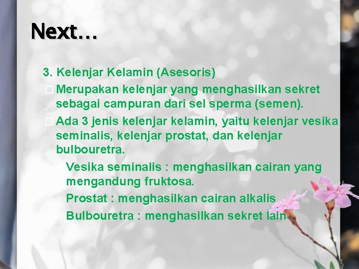 Next… � 3. Kelenjar Kelamin (Asesoris) � Merupakan kelenjar yang menghasilkan sekret sebagai campuran