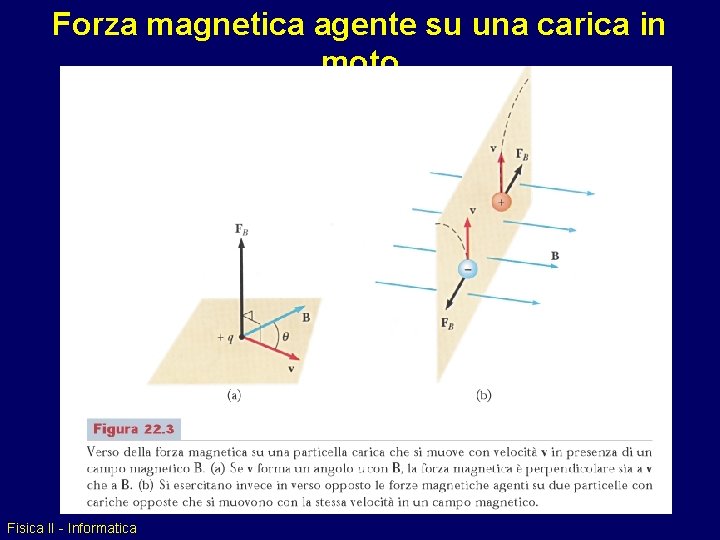 Forza magnetica agente su una carica in moto Fisica II - Informatica 