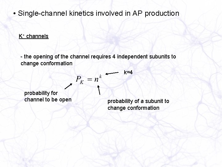 • Single-channel kinetics involved in AP production K+ channels - the opening of