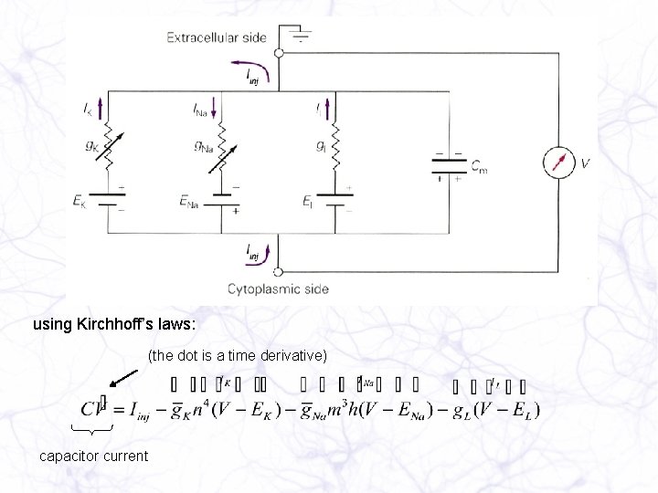 using Kirchhoff’s laws: (the dot is a time derivative) capacitor current 