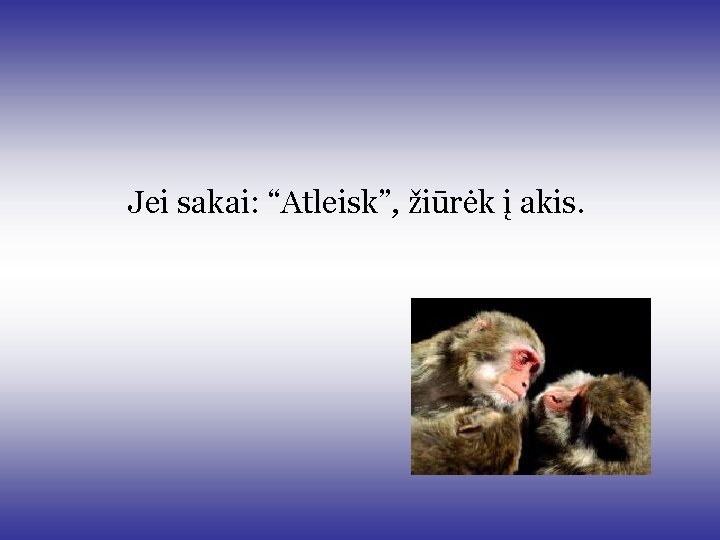 Jei sakai: “Atleisk”, žiūrėk į akis. Jei sakai: “Atleisk”, žiūrėk į akis.