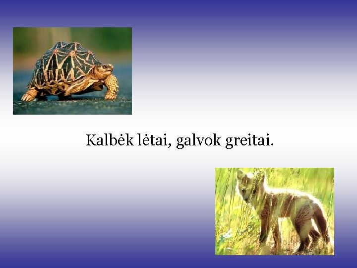 Kalbėk lėtai, galvok greitai. Kalbėk lėtai, galvok greitai.