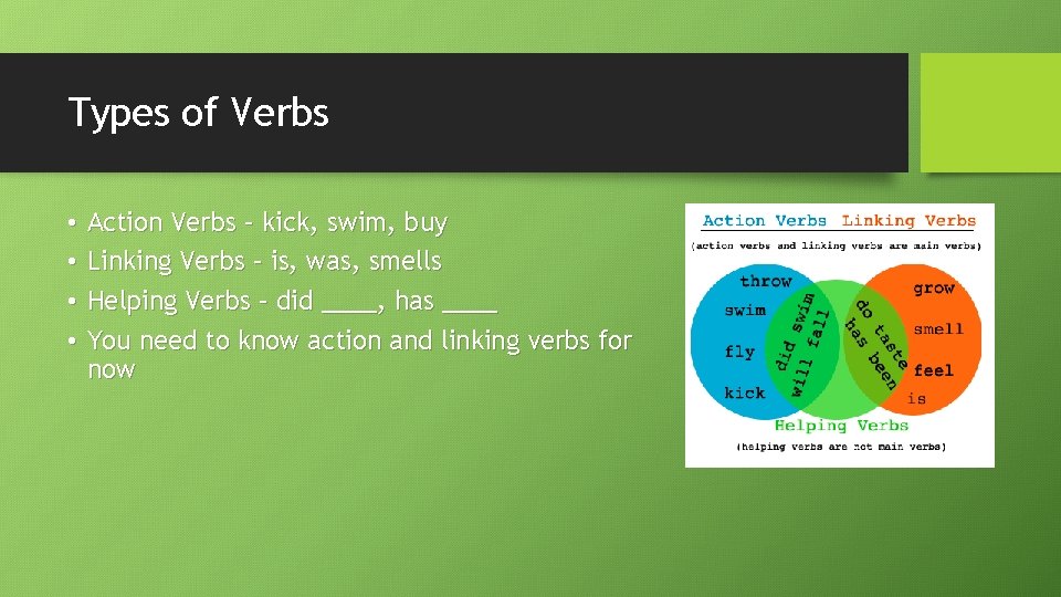 Types of Verbs • • Action Verbs – kick, swim, buy Linking Verbs –
