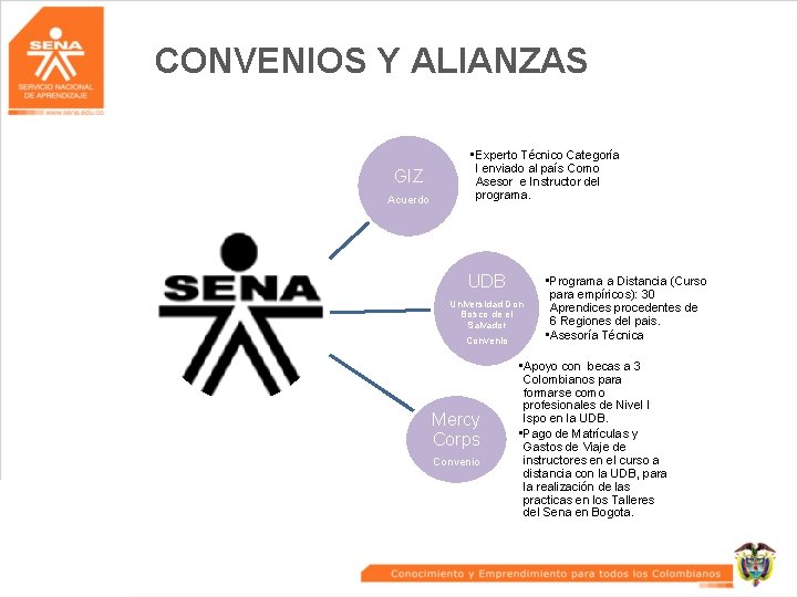 CONVENIOS Y ALIANZAS GIZ Acuerdo • Experto Técnico Categoría I enviado al país Como