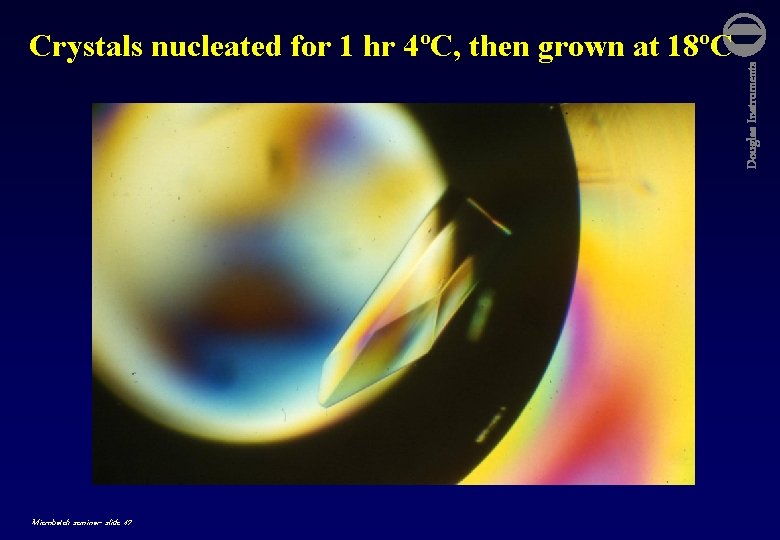 Microbatch seminar- slide 47 Douglas Instruments Crystals nucleated for 1 hr 4ºC, then grown