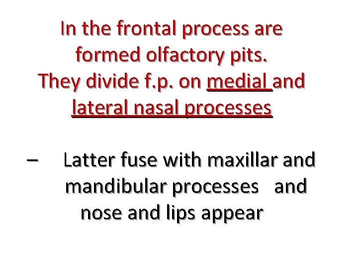 In the frontal process are formed olfactory pits. They divide f. p. on medial