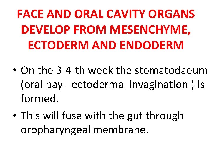 FACE AND ORAL CAVITY ORGANS DEVELOP FROM MESENCHYME, ECTODERM AND ENDODERM • On the