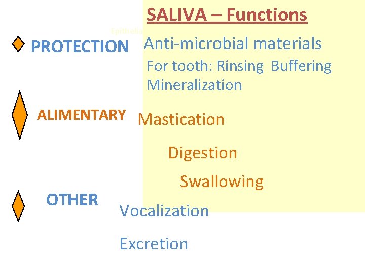 SALIVA – Functions Epithelial lubrication PROTECTION Anti-microbial materials For tooth: Rinsing Buffering Mineralization ALIMENTARY