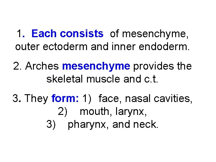 1. Each consists of mesenchyme, outer ectoderm and inner endoderm. 2. Arches mesenchyme provides