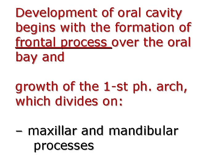 Development of oral cavity begins with the formation of frontal process over the oral