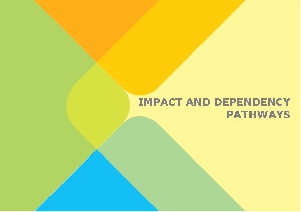 31 IMPACT AND DEPENDENCY PATHWAYS 