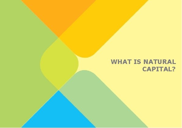 5 WHAT IS NATURAL CAPITAL? 