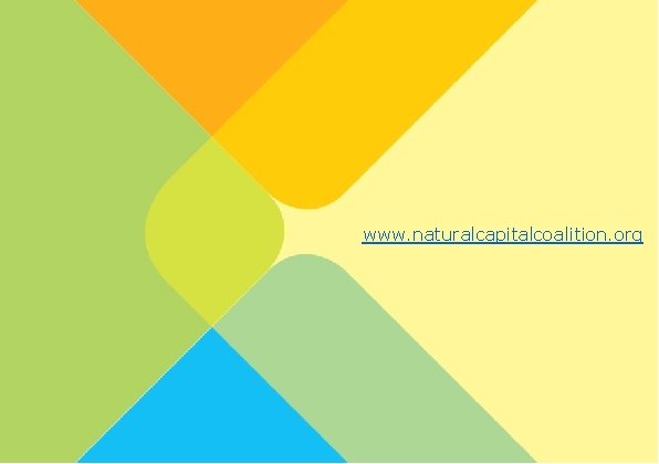 55 www. naturalcapitalcoalition. org 