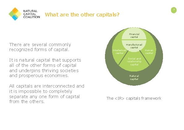 7 What are the other capitals? Financial capital There are several commonly recognized forms