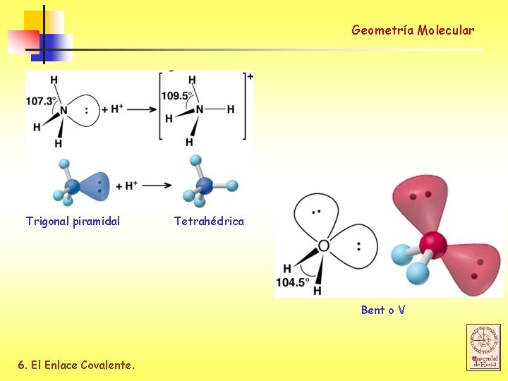 Geometría Molecular Trigonal piramidal Tetrahédrica Bent o V 6. El Enlace Covalente. 