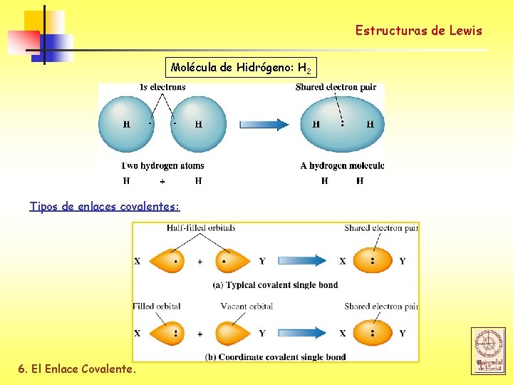 Estructuras de Lewis Molécula de Hidrógeno: H 2 Tipos de enlaces covalentes: 6. El