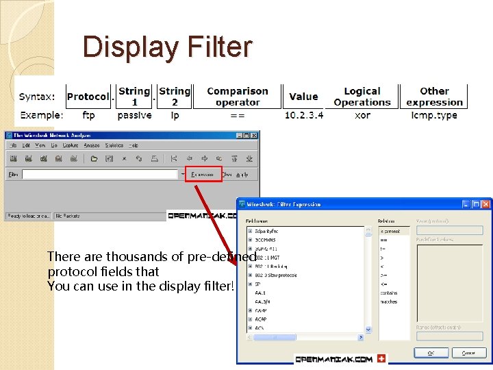 Display Filter There are thousands of pre-defined protocol fields that You can use in Display Filter There are thousands of pre-defined protocol fields that You can use in