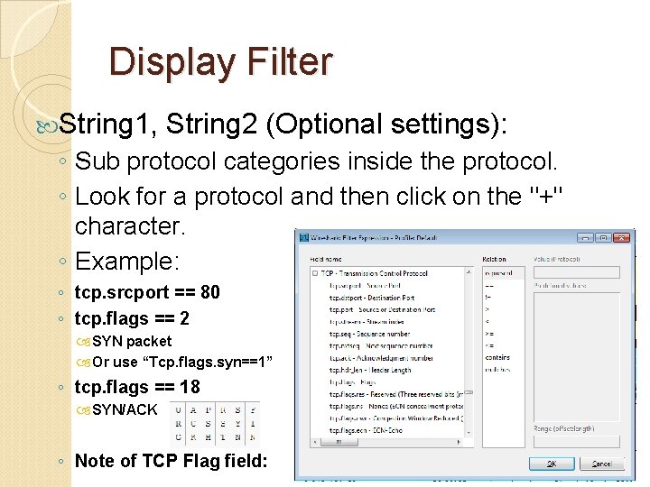 Display Filter String 1, String 2 (Optional settings): ◦ Sub protocol categories inside the