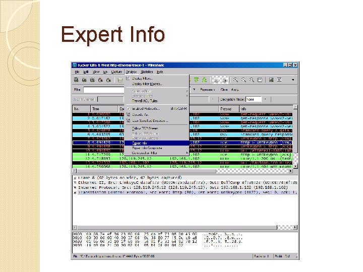 Expert Info 