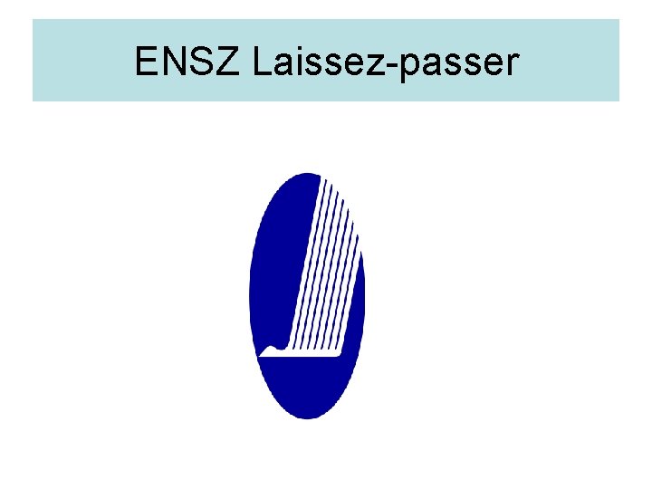 ENSZ Laissez-passer 