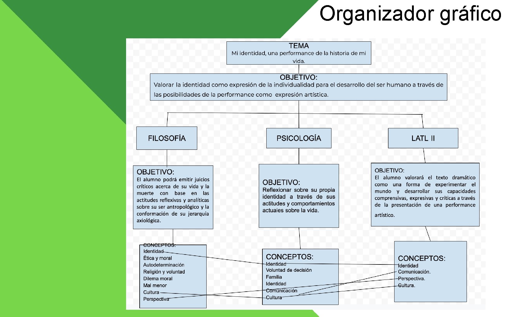 Organizador gráfico Organizador gráfico