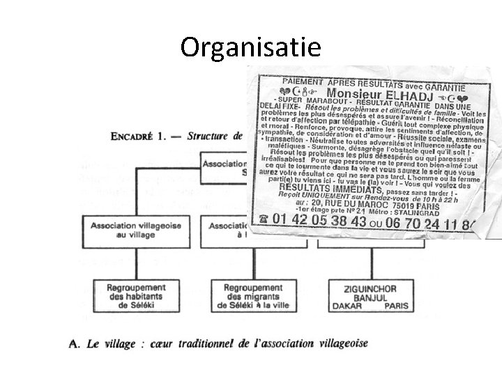 Organisatie Organisatie